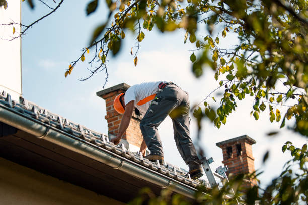 Best Gutter Installation and Roofing  in Anchorage, AK